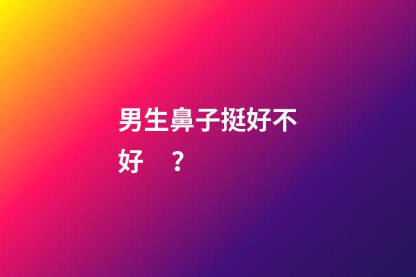 男生鼻子挺好不好？